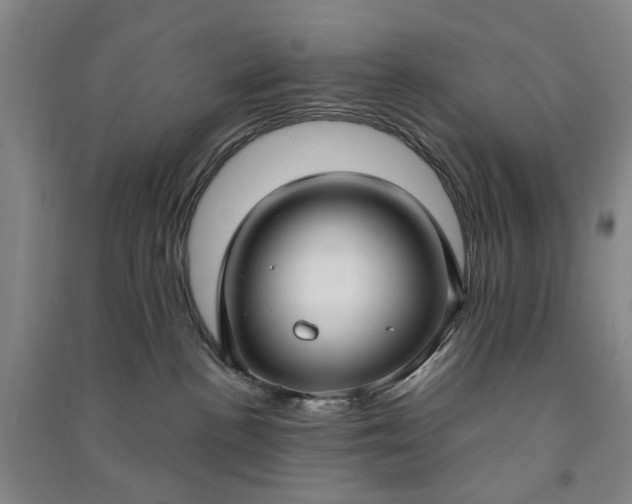 X0000090950188200708161803
