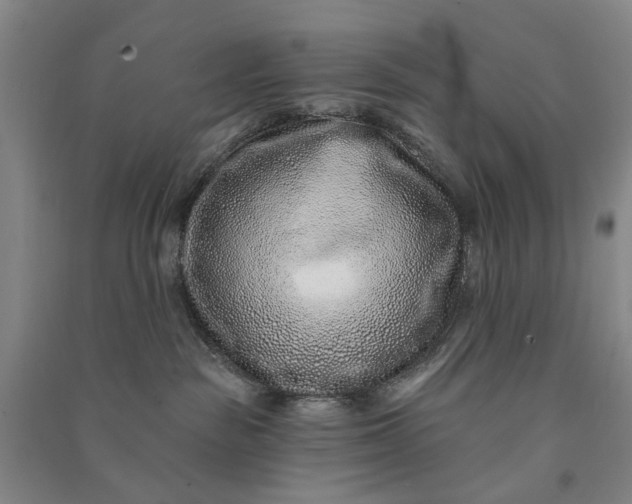 X0000090950189200708161803