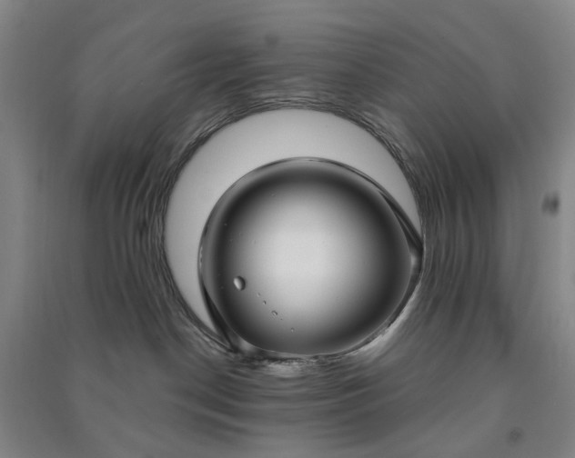 X0000090950190200708161803