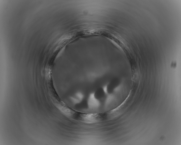 X0000090950191200708161803