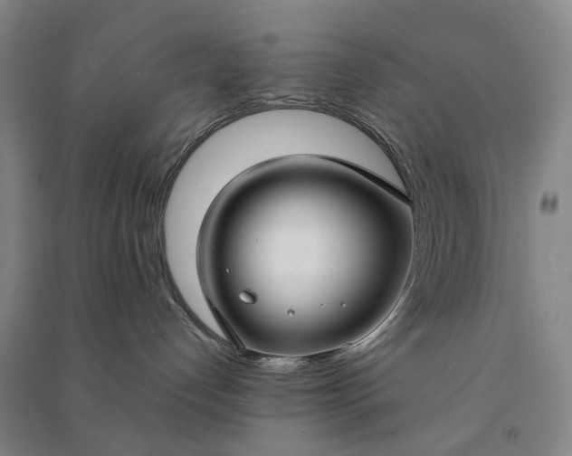 X0000090950192200708161803