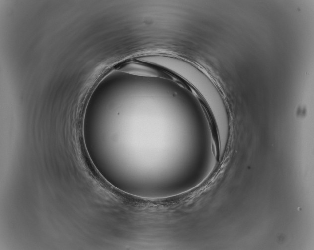 X0000090950193200708161803