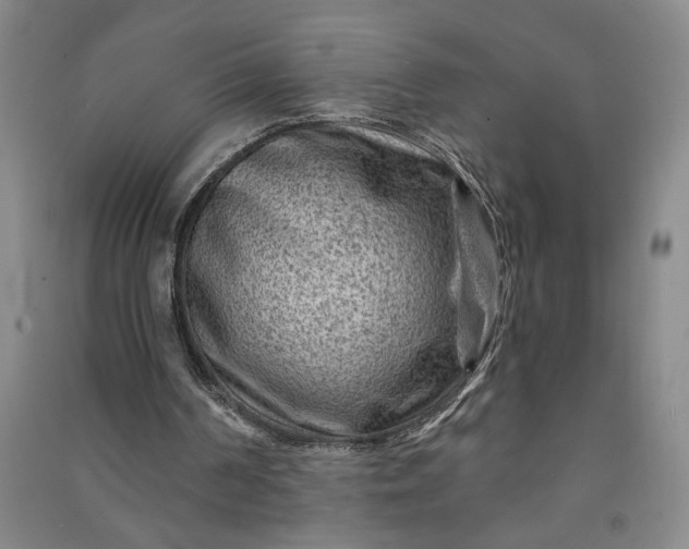 X0000090950194200708161803