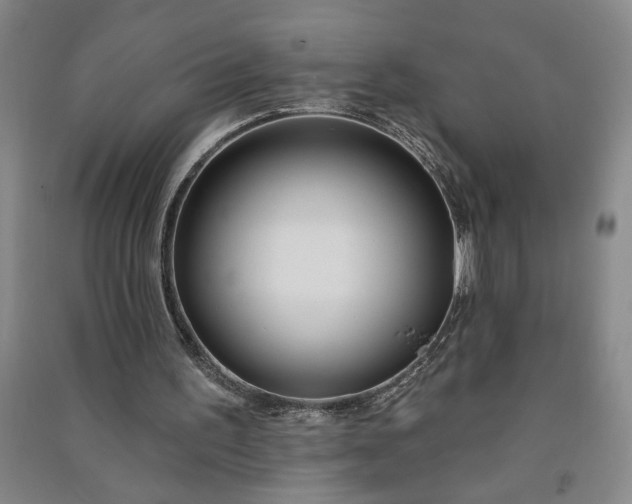 X0000090950195200708161803