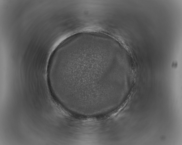 X0000090950196200708161803