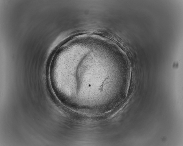 X0000090950198200708161803