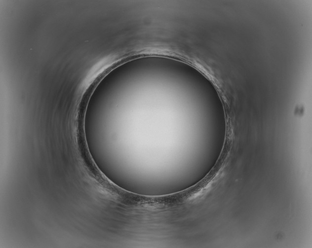 X0000090950199200708161803