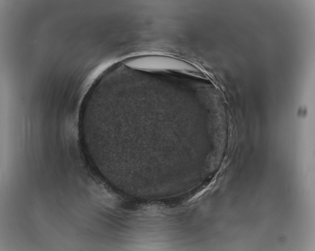 X0000090950200200708161803