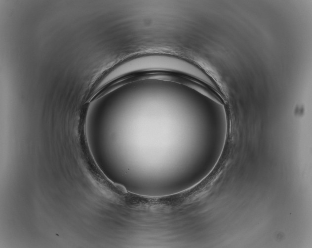 X0000090950201200708161803