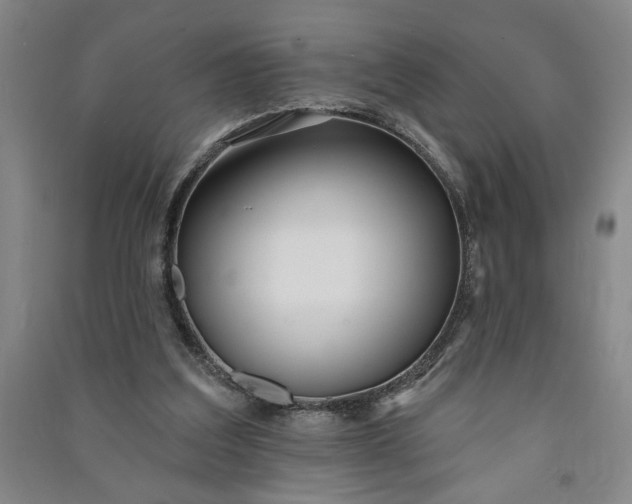 X0000090950203200708161803