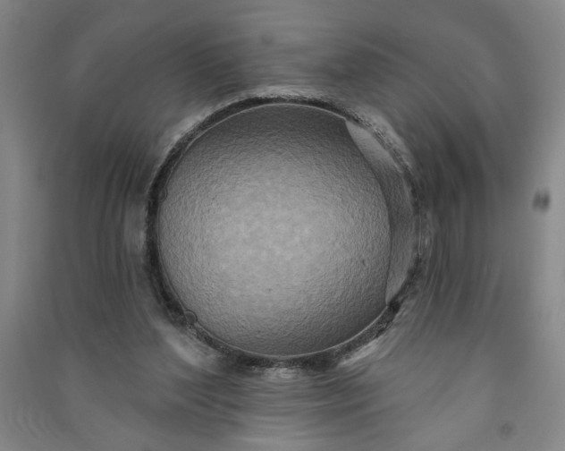 X0000090950204200708161803