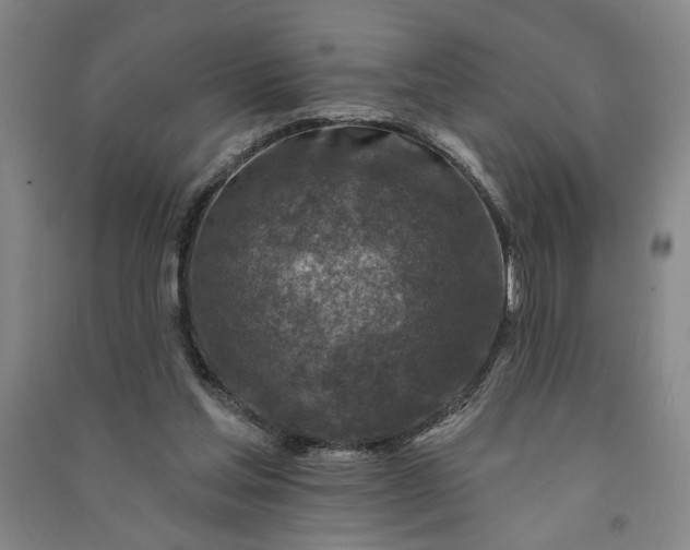 X0000090950205200708161803