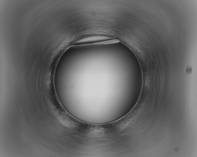 X0000090950206200708161803