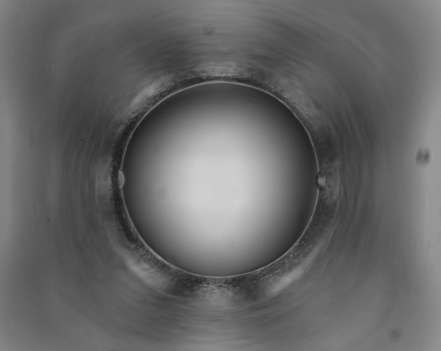 X0000090950207200708161803