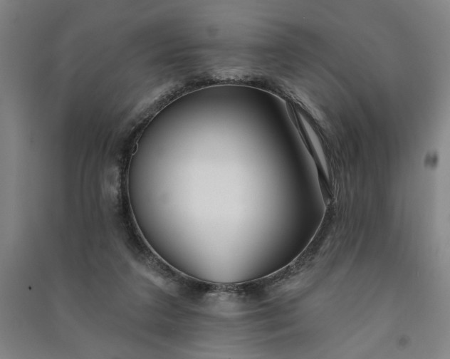 X0000090950211200708161802