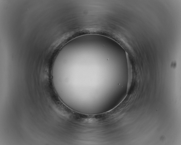 X0000090950212200708161802