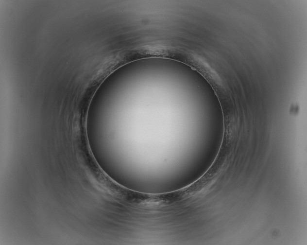 X0000090950213200708161802