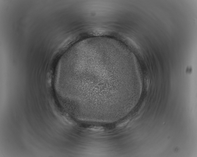 X0000090950214200708161802