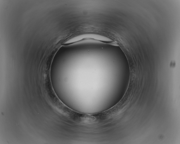 X0000090950215200708161802