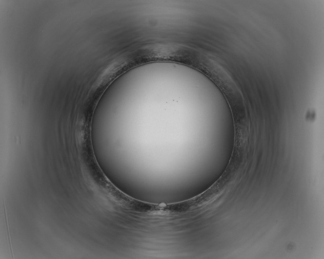 X0000090950216200708161802