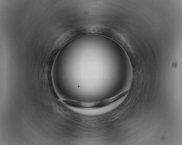 X0000090950217200708161802