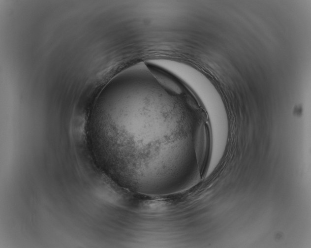 X0000090950219200708161802