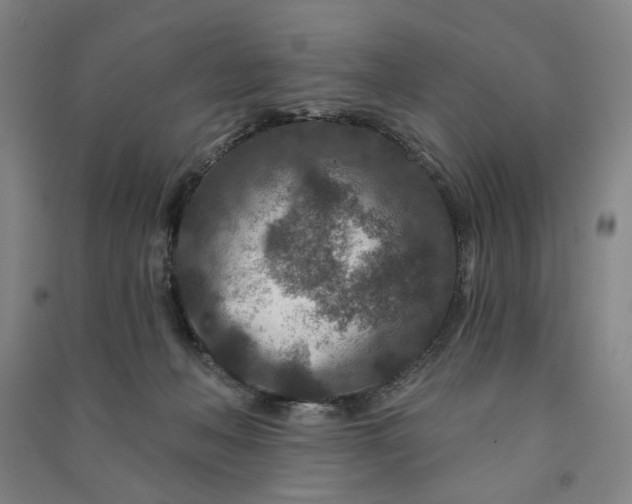 X0000090950222200708161802