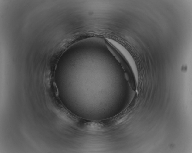 X0000090950223200708161802