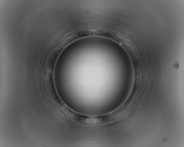 X0000090950225200708161802