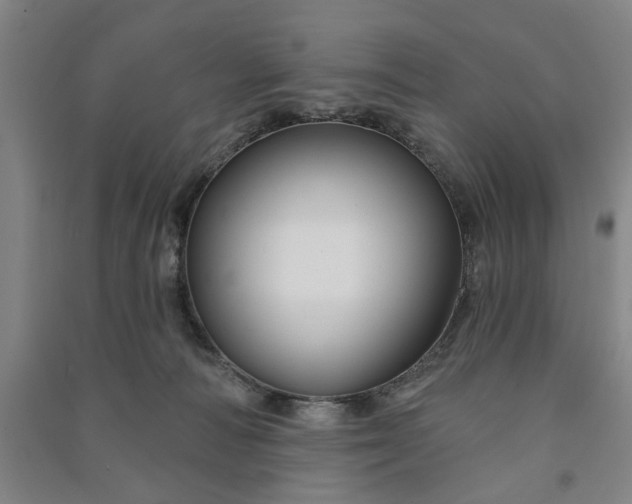 X0000090950226200708161802