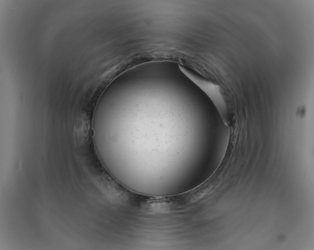 X0000090950228200708161802