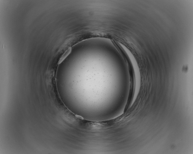 X0000090950229200708161802