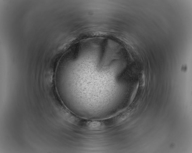 X0000090950230200708161802