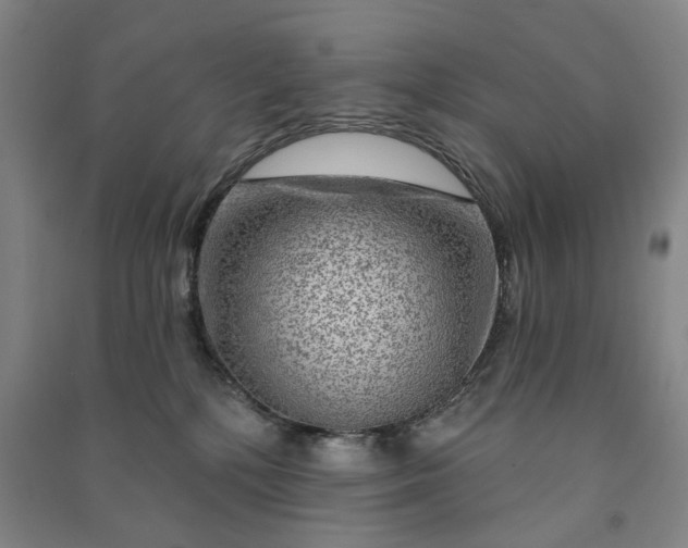 X0000090950232200708161802