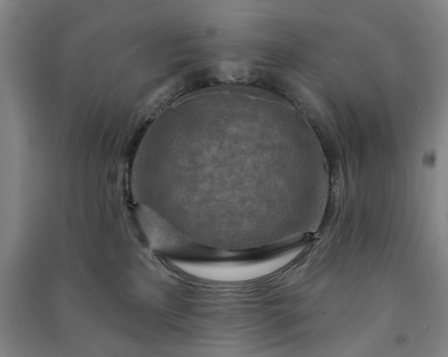 X0000090950233200708161802