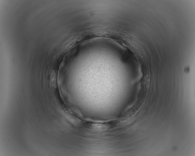 X0000090950234200708161802