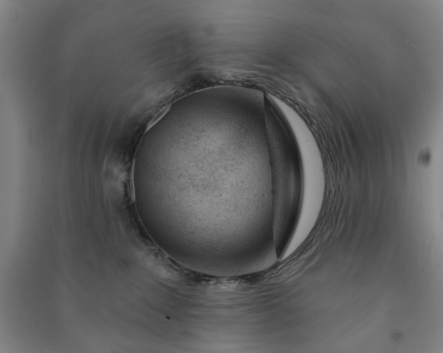 X0000090950235200708161802