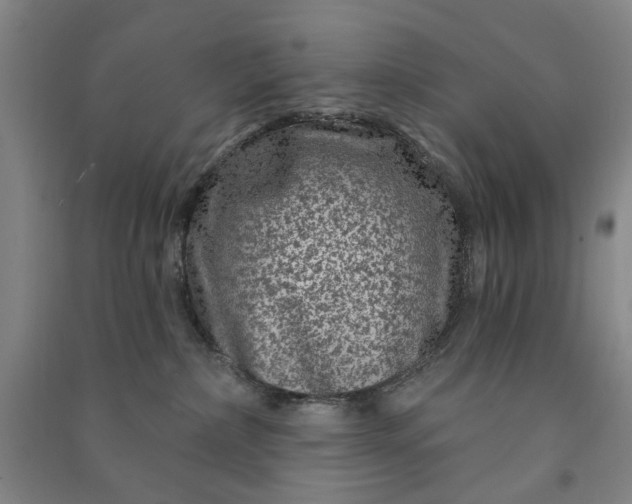 X0000090950236200708161802