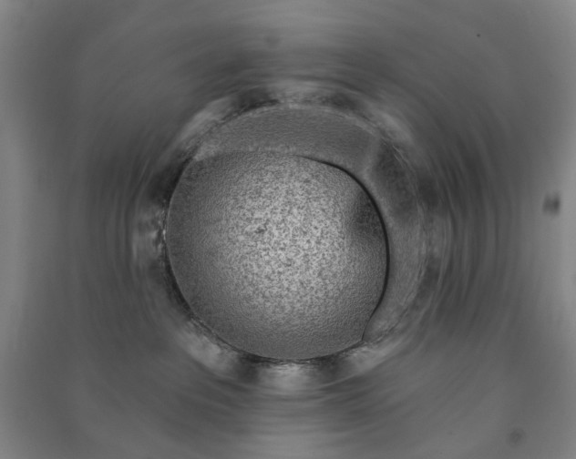X0000090950237200708161802