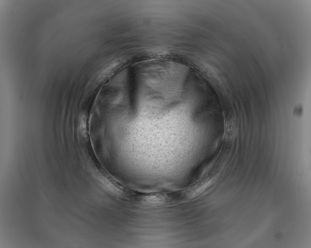 X0000090950238200708161802