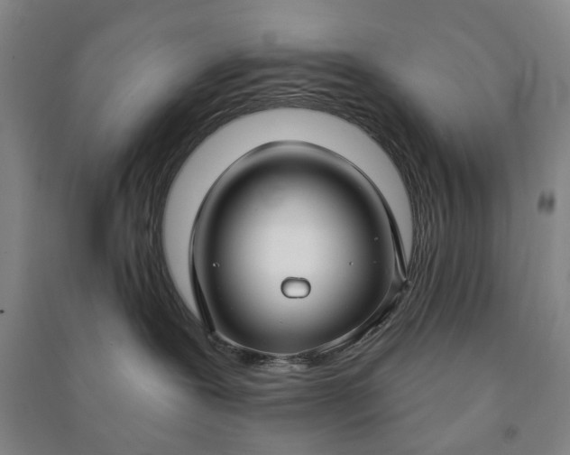 X0000090950239200708161802