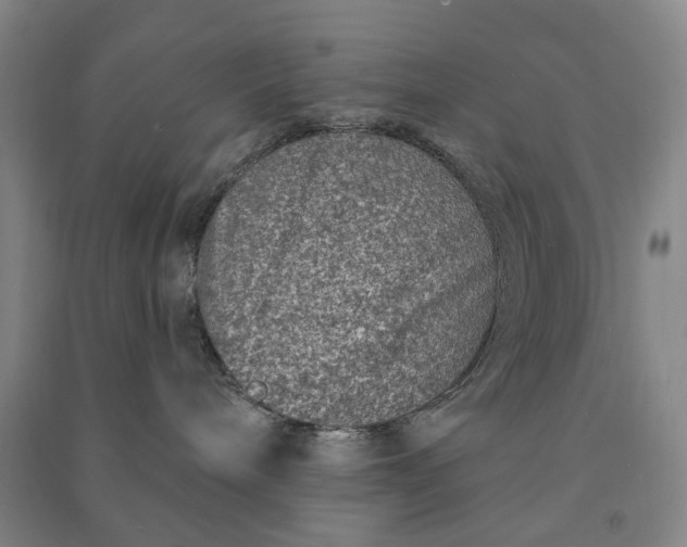 X0000090950240200708161802