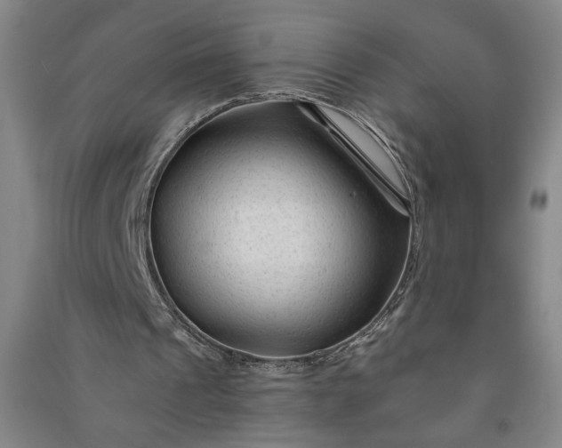 X0000090950241200708161801