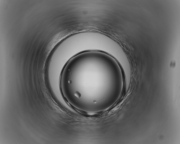 X0000090950242200708161801