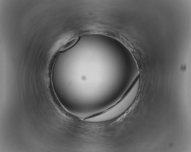 X0000090950245200708161801
