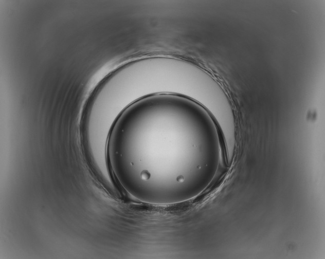 X0000090950246200708161801