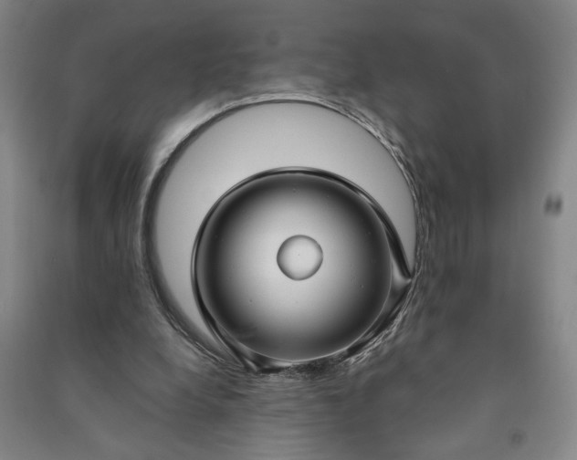X0000090950248200708161801