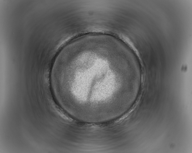 X0000090950249200708161801