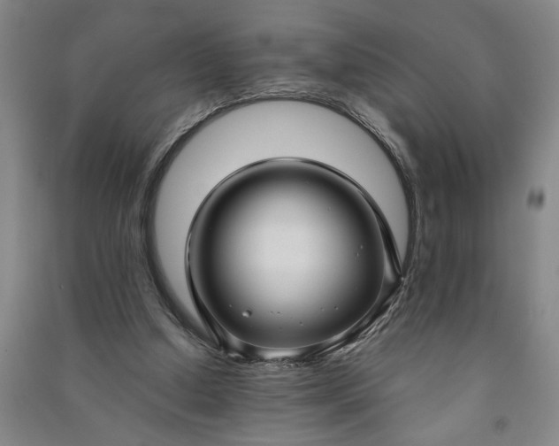 X0000090950250200708161801