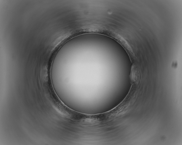 X0000090950251200708161801